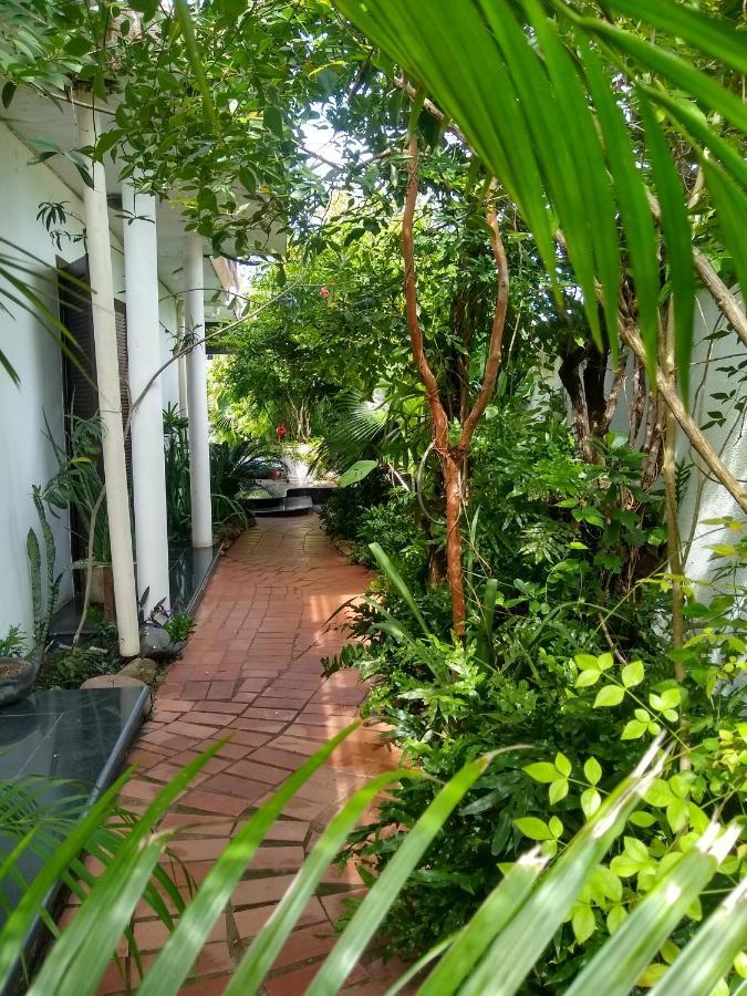 Guesthouse Mata Da Praia Vitória Kültér fotó